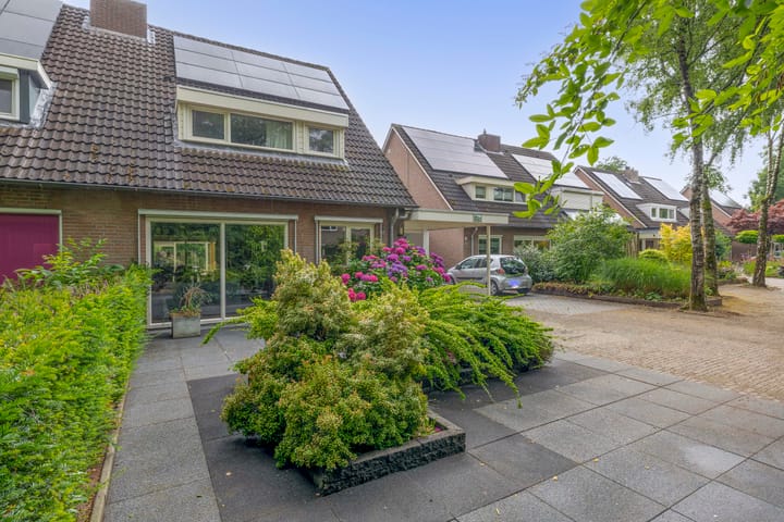 Photo 9 of Barisakker 12