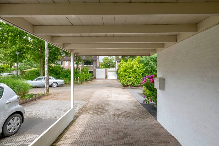 Photo 10 of Barisakker 12