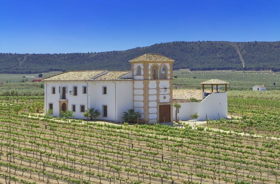 Foto 1 van Parcela 57