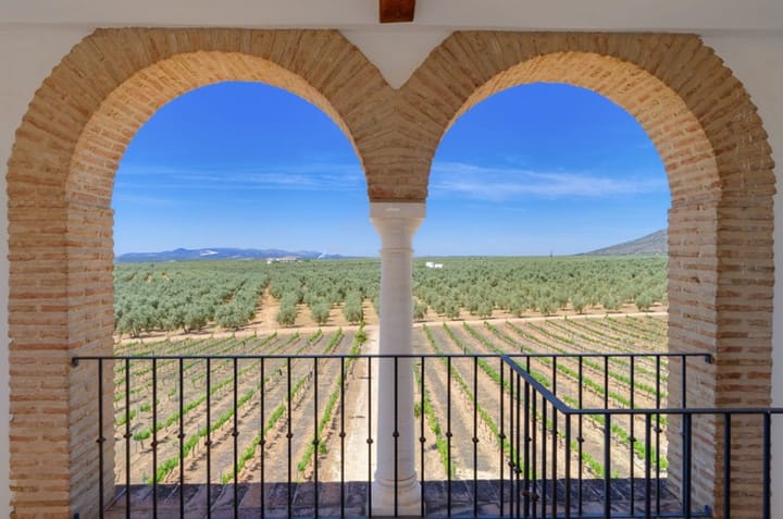 Foto 4 van Parcela 57