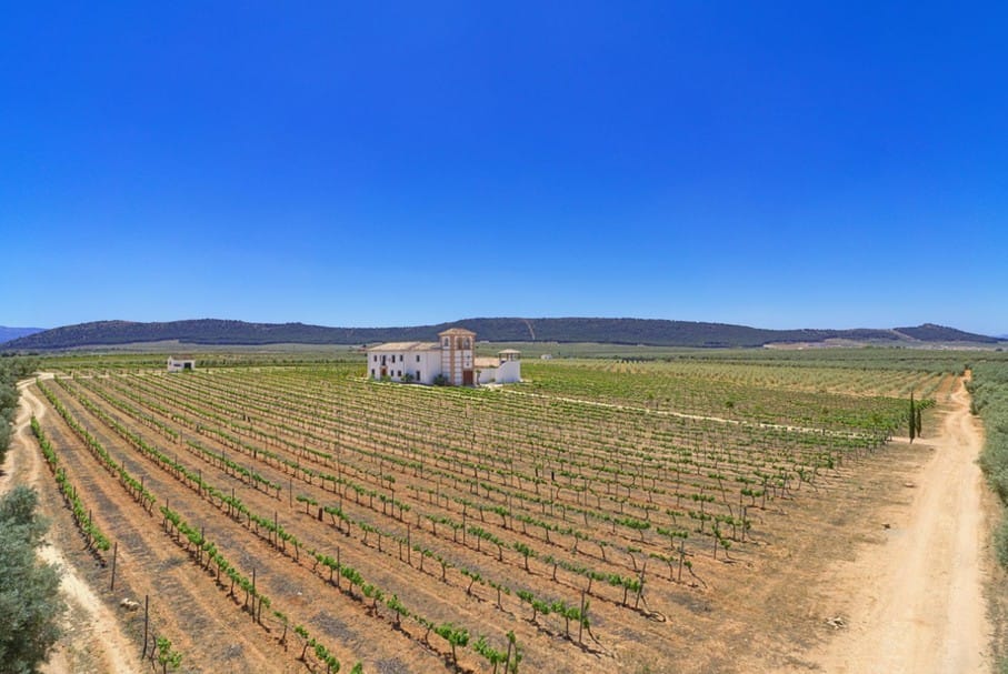 Foto 12 van Parcela 57