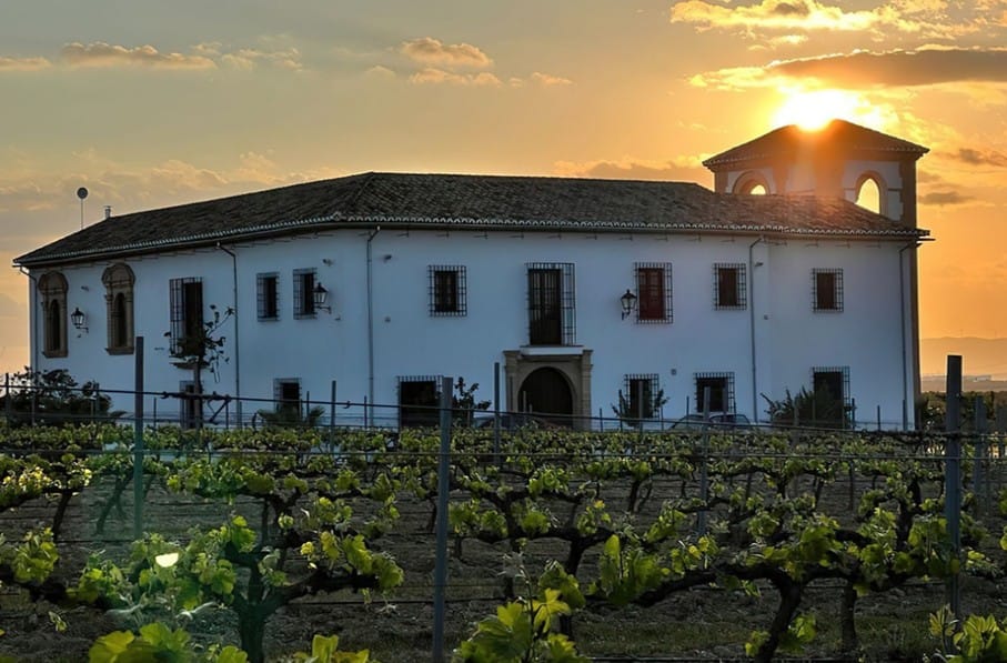 Foto 13 van Parcela 57