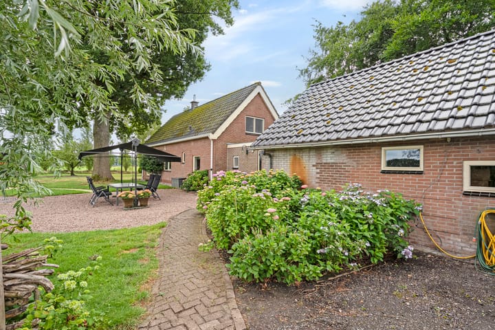 Foto 5 van Zwartschaap 31