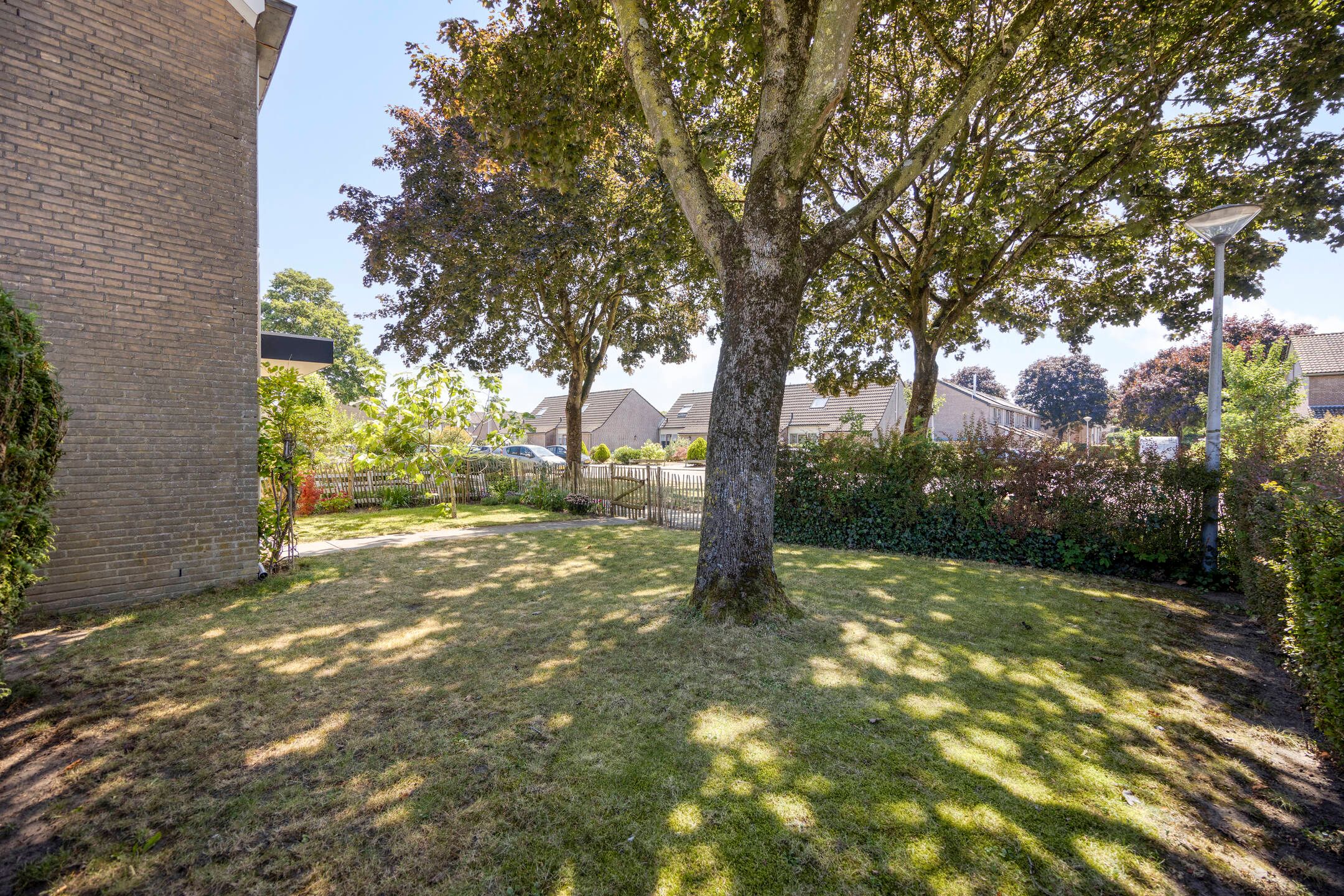 Foto 12 van Olieakkerstraat 13