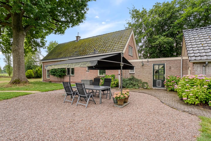 Foto 6 van Zwartschaap 31