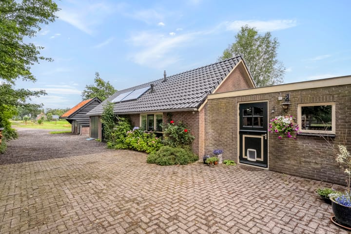 Foto 9 van Zwartschaap 31