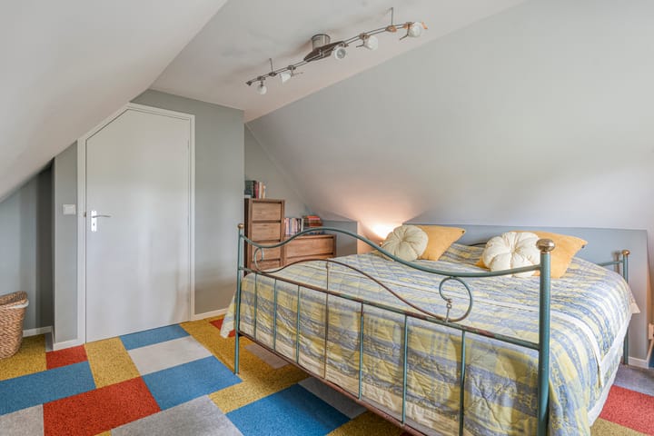 Foto 30 van Zwartschaap 31