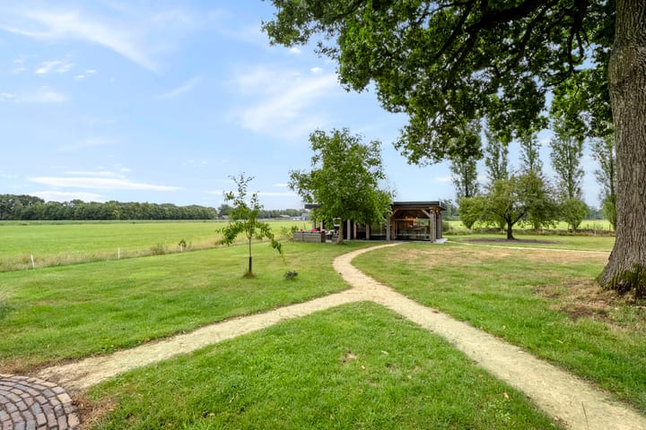 Foto 33 van Zwartschaap 31