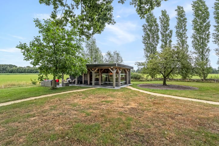 Foto 34 van Zwartschaap 31