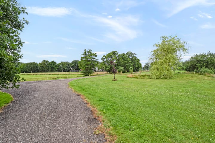 Foto 45 van Zwartschaap 31