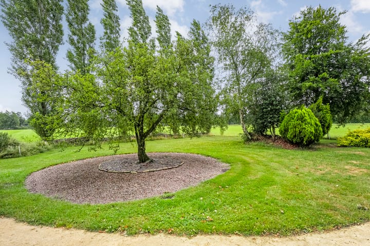 Foto 46 van Zwartschaap 31