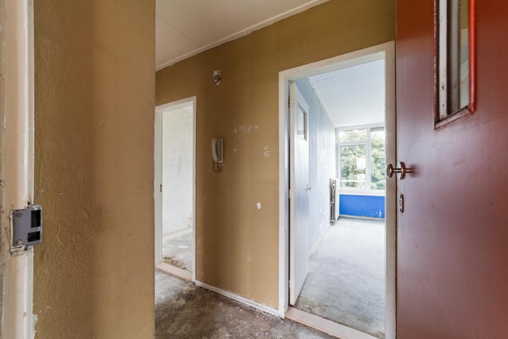 Photo 4 of Domela Nieuwenhuisstraat 33