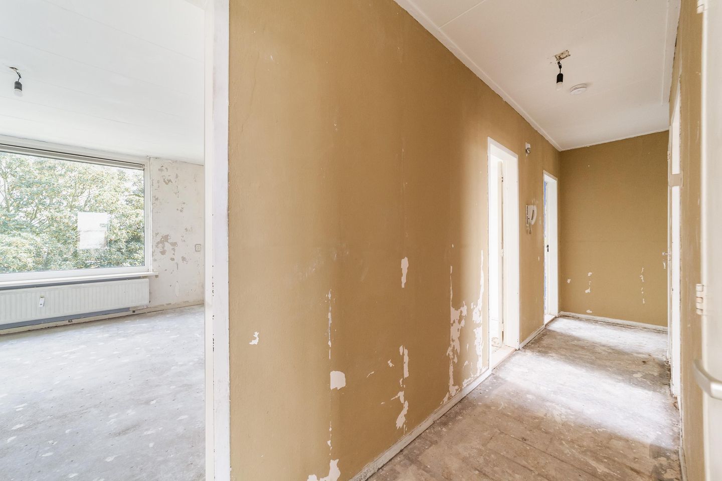 Photo 5 of Domela Nieuwenhuisstraat 33