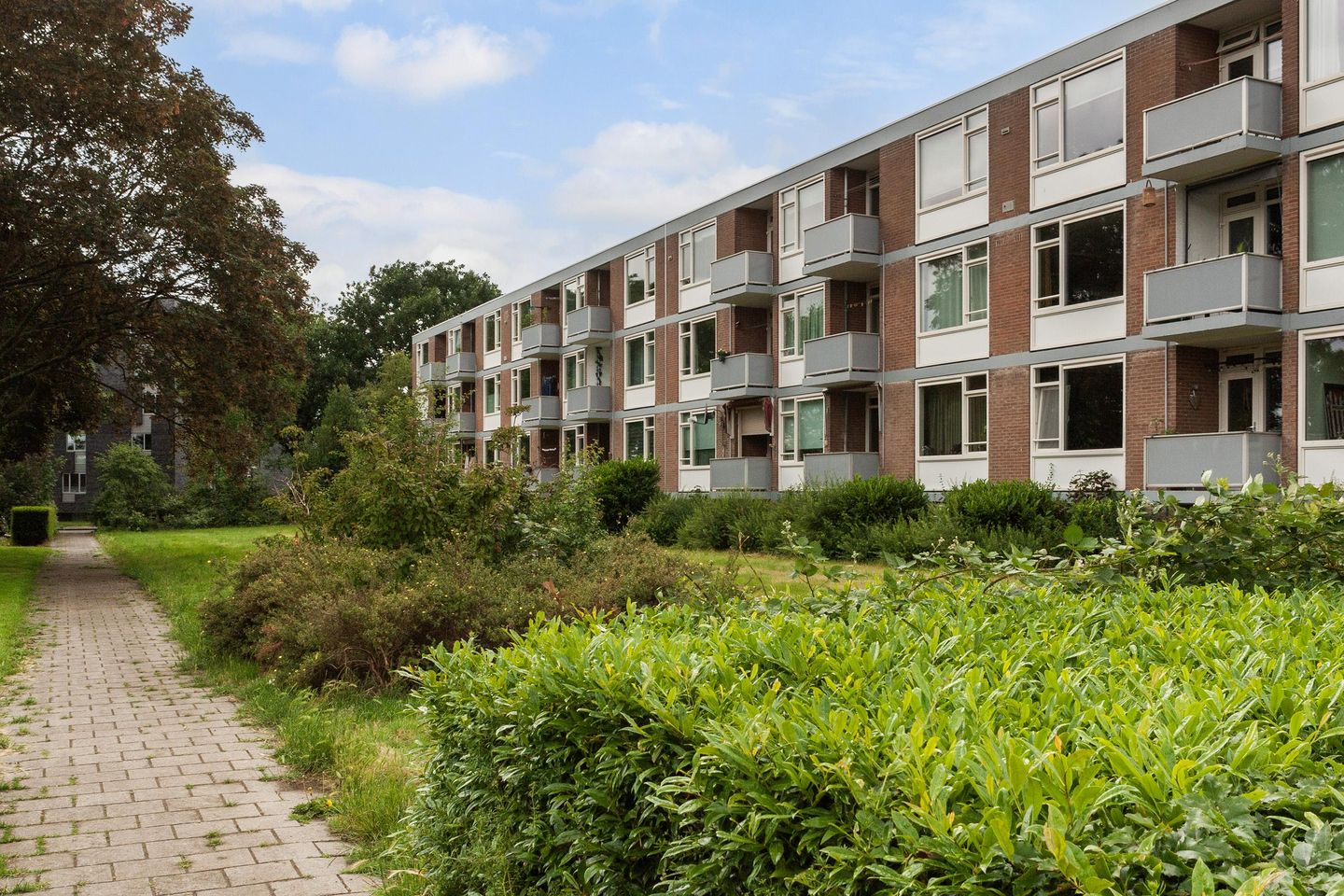 Photo 25 of Domela Nieuwenhuisstraat 33