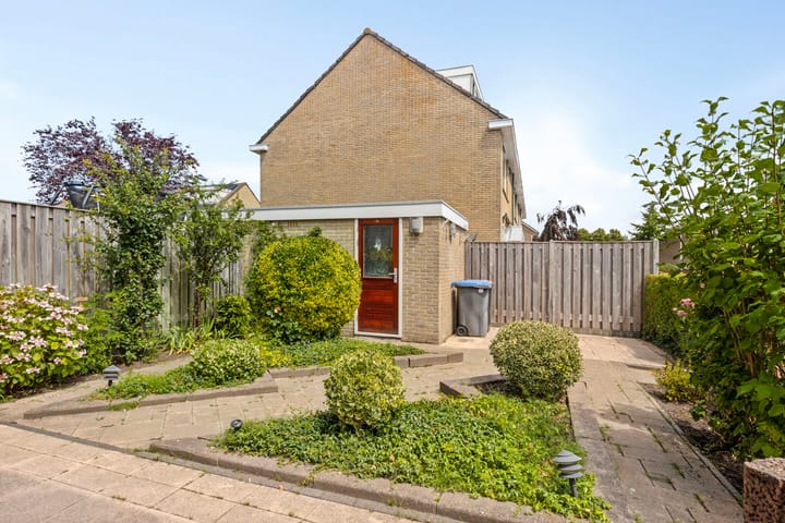 Foto 23 van Hidalgopad 11