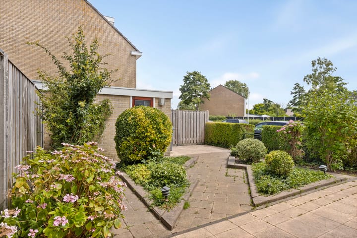 Foto 24 van Hidalgopad 11