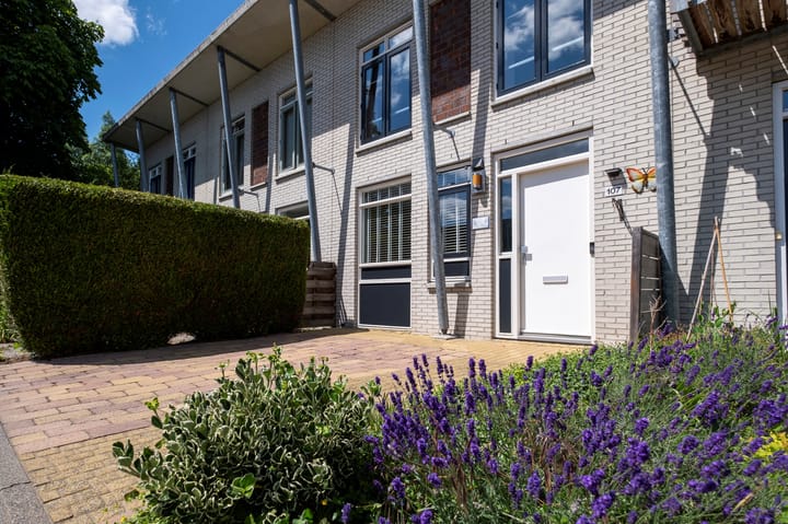 Foto 42 van Zonland 107