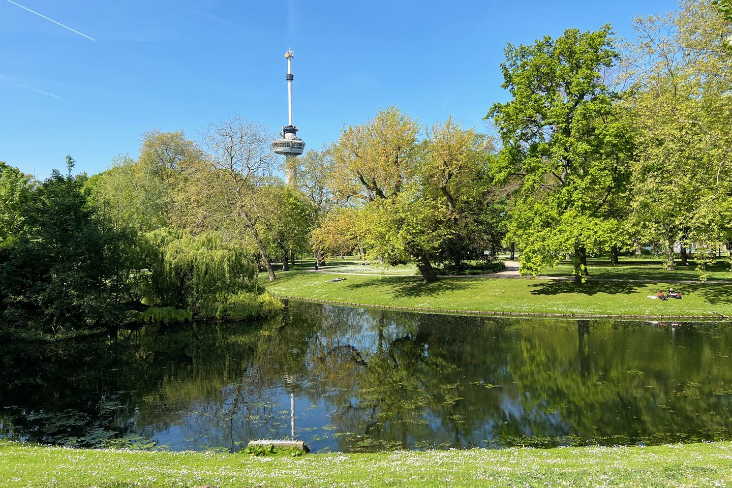 Foto 34 van Gedempte Zalmhaven 513