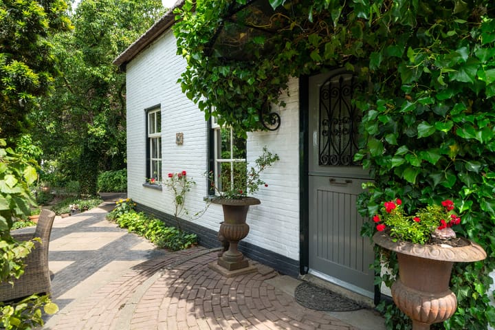 Foto 6 van Maasdijk 50