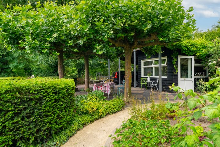 Foto 42 van Maasdijk 50