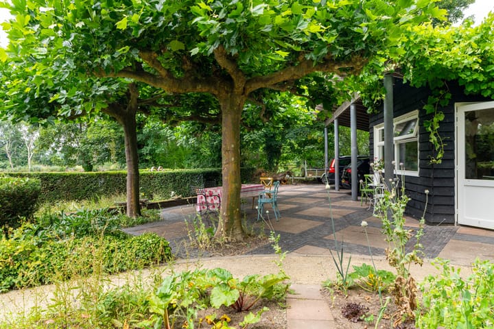 Foto 43 van Maasdijk 50