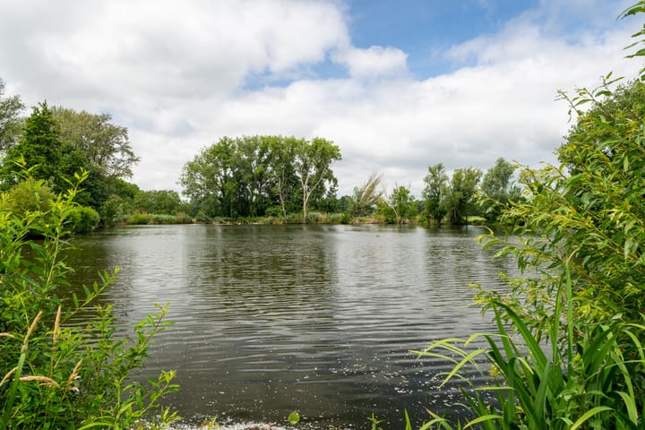 Foto 51 van Maasdijk 50