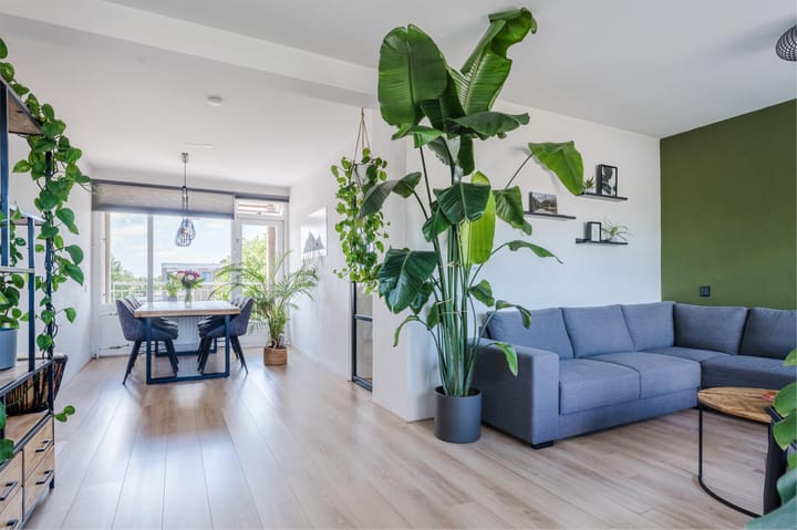 Foto 15 van Joseph Haydnlaan 47