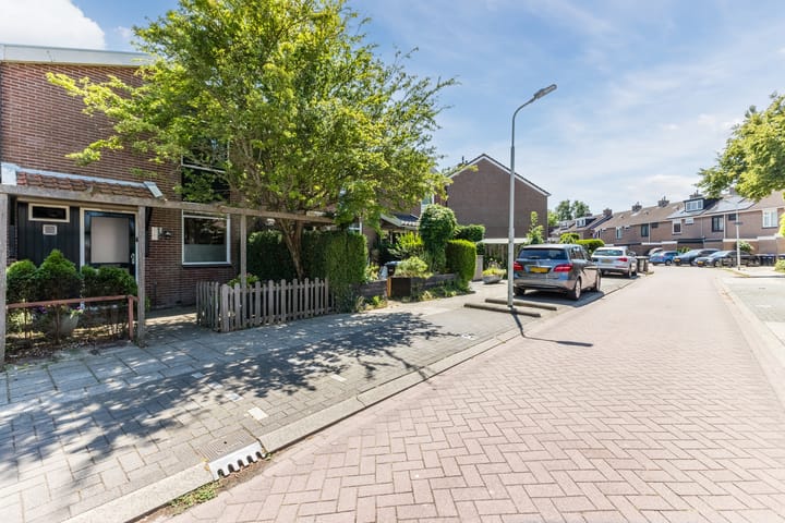 Foto 38 van Kaasmaker 20