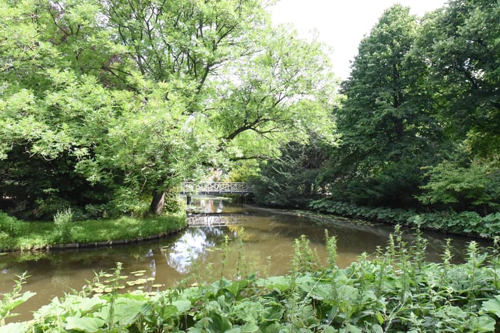 Foto 36 van Arnold Hoogvlietstraat 5