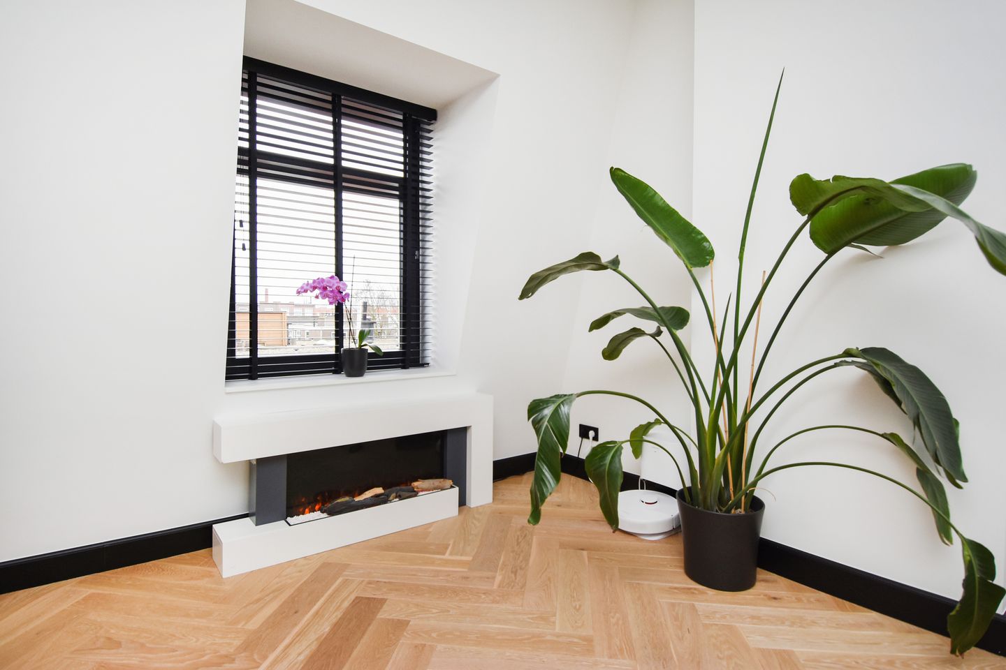 Photo 25 of Anton de Haenstraat 90