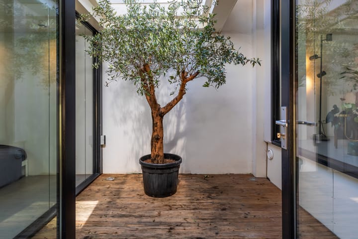 Foto 3 van Doedesstraat 80-A