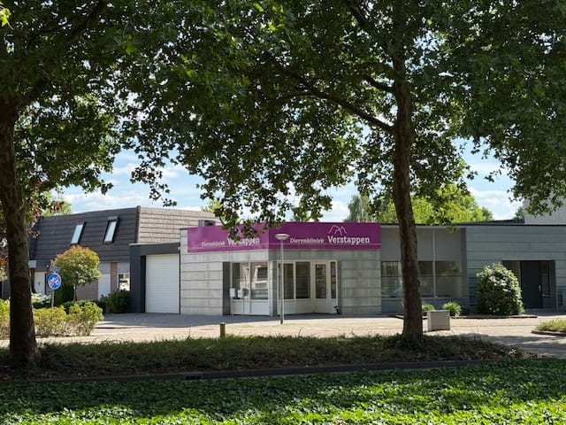 Foto 2 van de Ronde 11-A