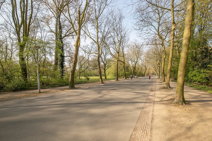 Foto 19 van Overtoom 445-D