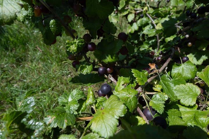 Foto 107 van Garststraat 1