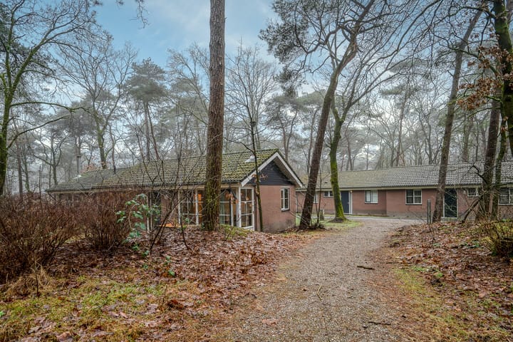 Foto 6 van Biesdeel 4-B59