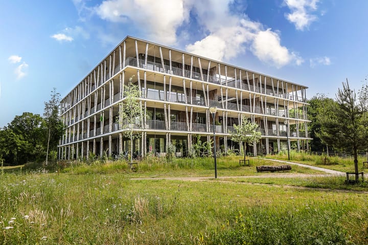 Foto 1 van Bosgors 2