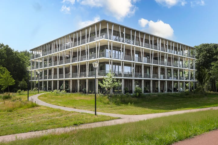 Foto 5 van Bosgors 2