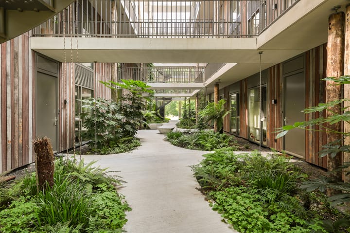 Foto 9 van Bosgors 2