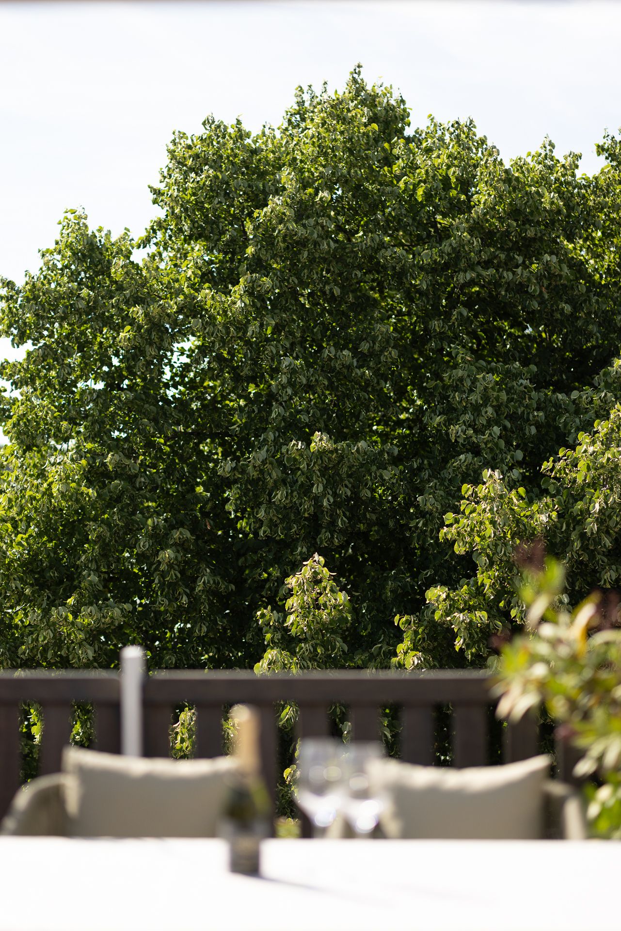 Foto 35 van Bergselaan 192-A