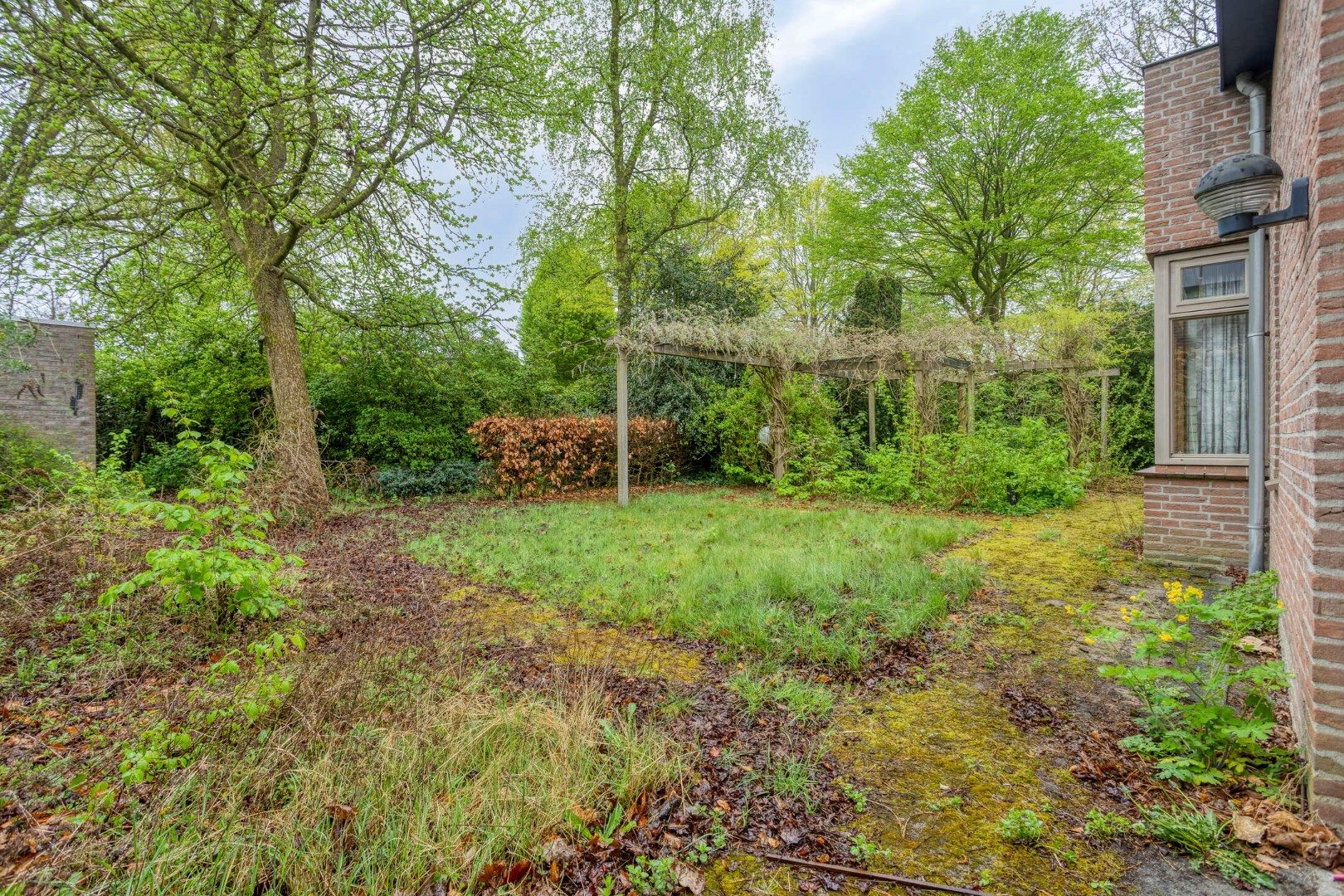 Foto 42 van Haagwinde 14