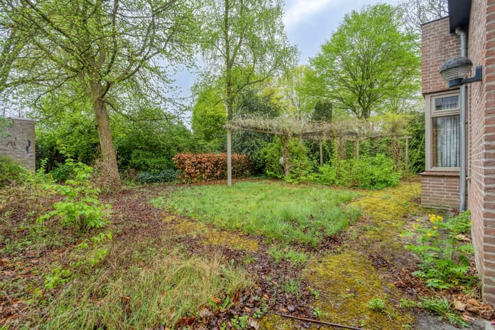 Foto 42 van Haagwinde 14