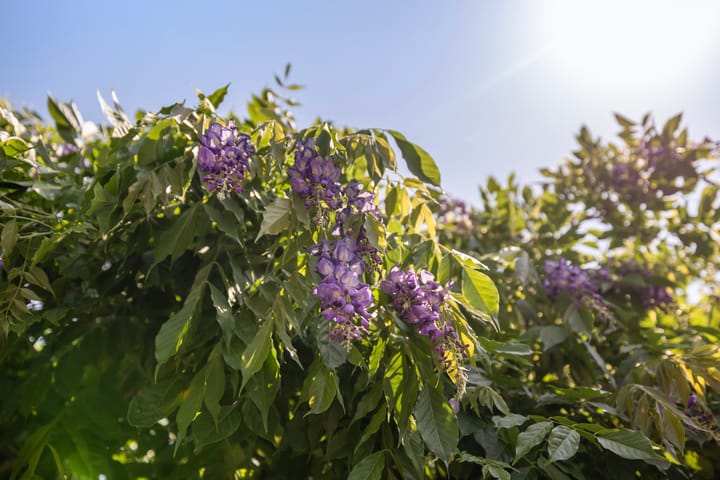 Foto 19 van Oude Arnhemseweg 111