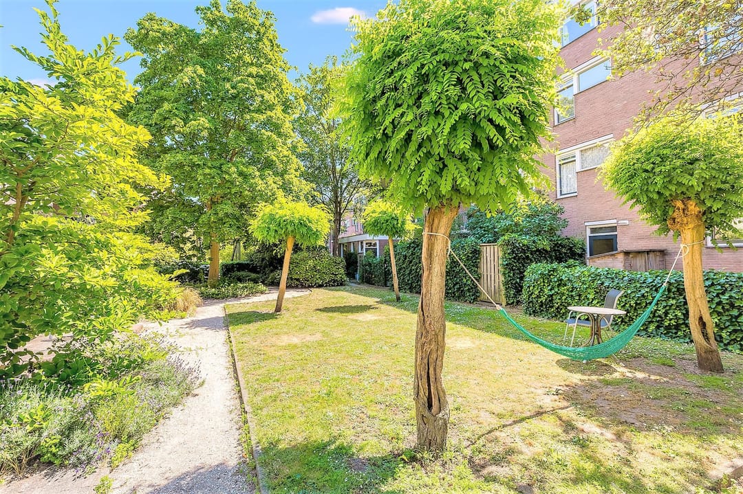 Foto 31 van Commelinstraat 310