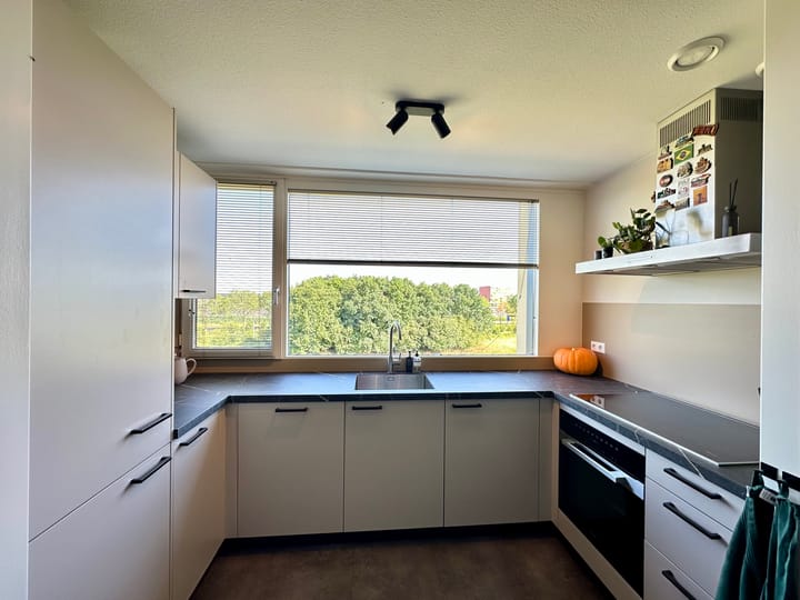 Foto 15 van Polderpeil 246