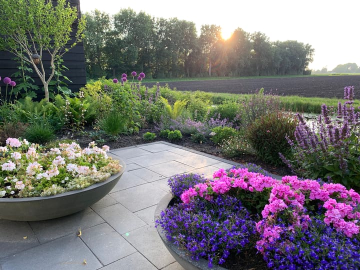 Foto 43 van Kleingouw 87-A