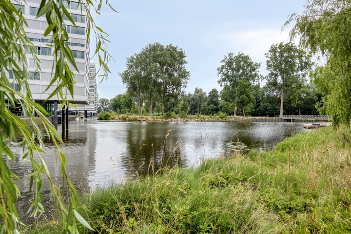 Foto 28 van Johan Hofmanstraat 252