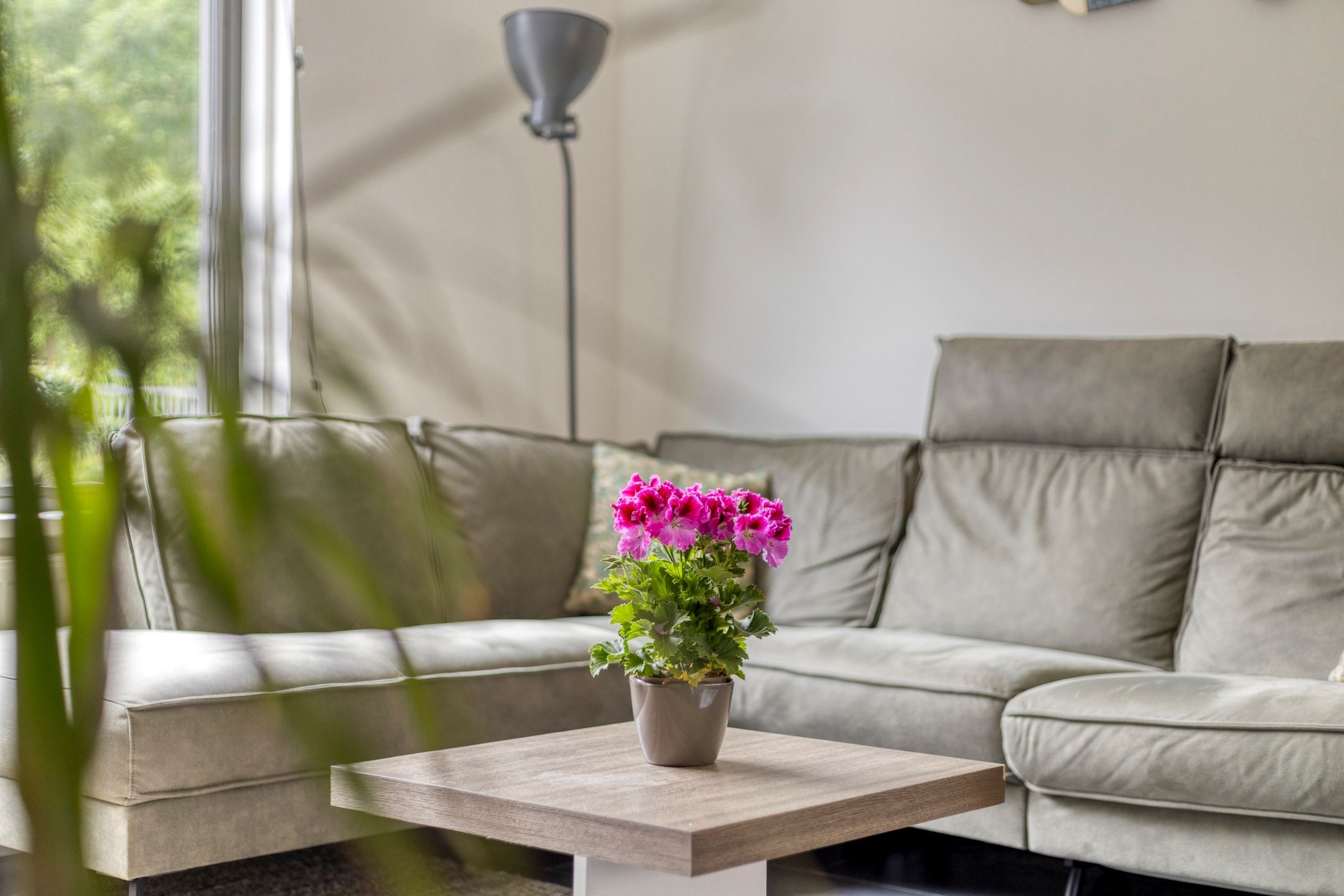 Foto 12 van Ponjaardruwe 108