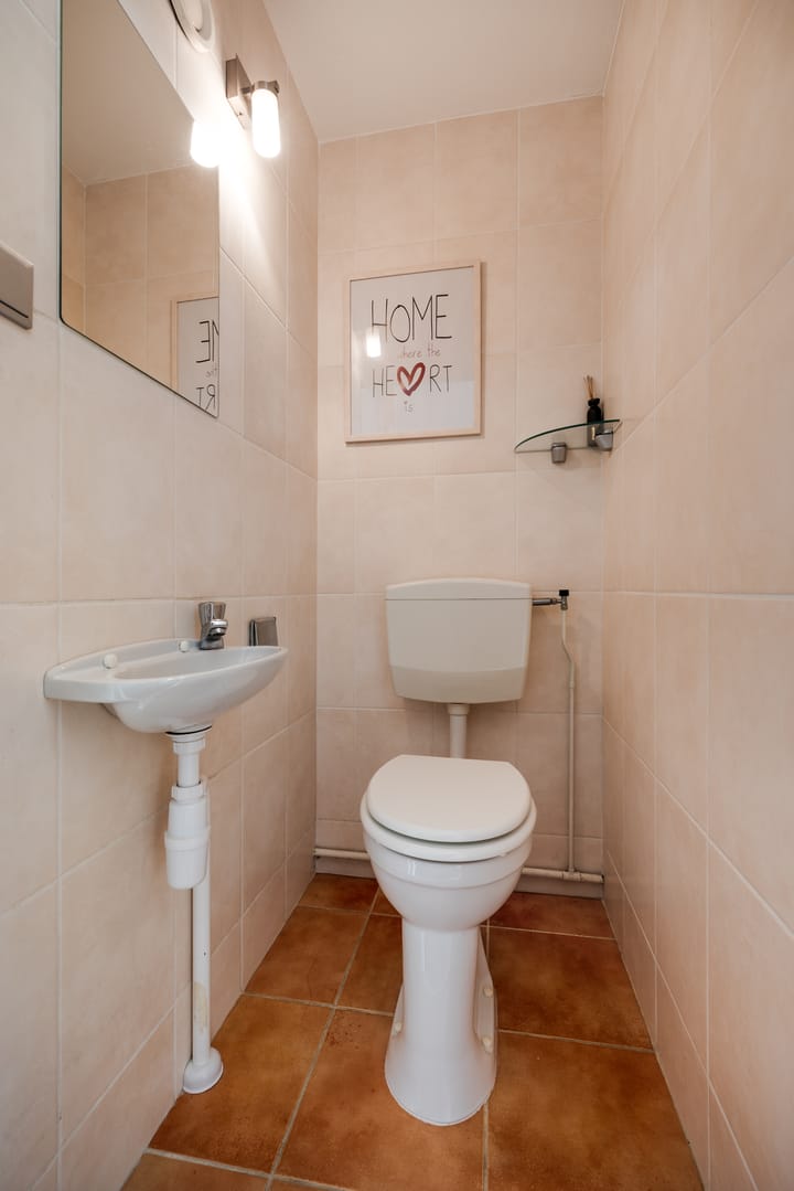 Foto 13 van Fakkelgras 21