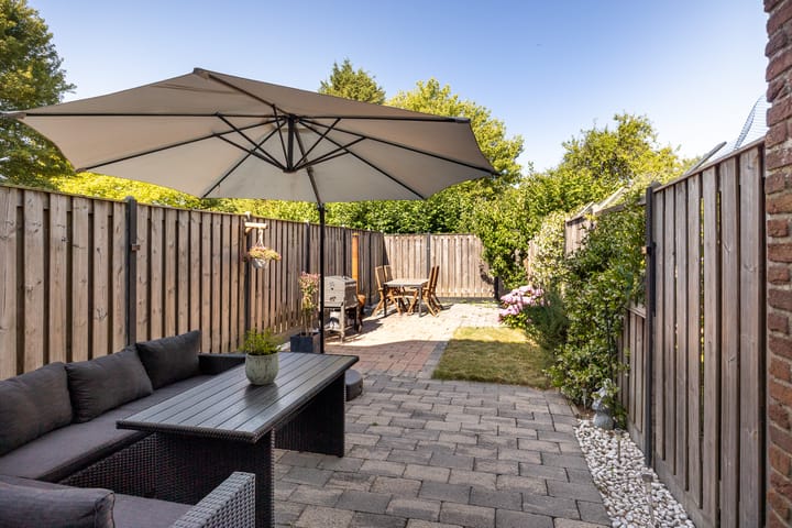 Foto 21 van Fakkelgras 21