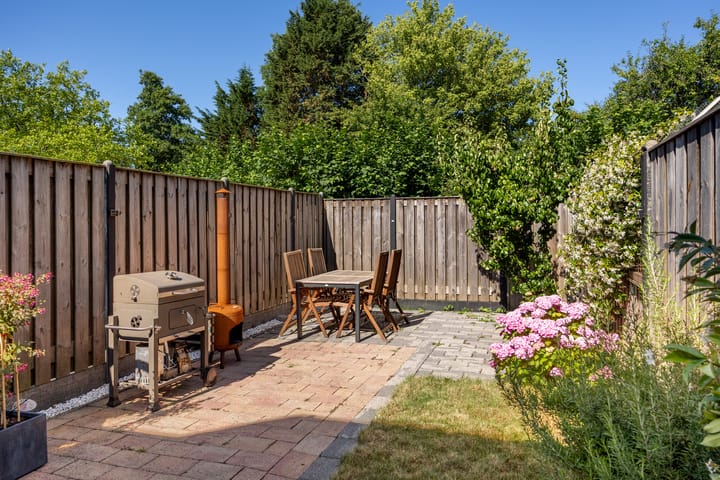 Foto 22 van Fakkelgras 21